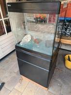 Red Sea Max 130 liter zeeaquarium., Dieren en Toebehoren, Ophalen, Gebruikt, Leeg aquarium
