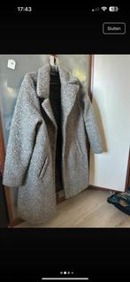 Grijze winterjas maat L, Kleding | Dames, Verzenden, Zo goed als nieuw, Maat 42/44 (L), Grijs