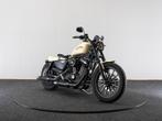 Harley-Davidson 883 Iron (bj 2015), Motoren, Motoren | Harley-Davidson, Bedrijf, Meer dan 35 kW, Overig