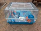 Hamsterkooi, Kooi, Gebruikt, Minder dan 75 cm, Hamster