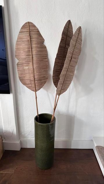 Bamboo blad beschikbaar voor biedingen