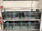 aquarium stelling 3x 200cm  12 vakken, Dieren en Toebehoren, Vissen | Aquaria en Toebehoren, Ophalen, Gebruikt, Leeg aquarium