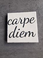 Tegeltje met 'Carpe Diem' tekst, Huis en Inrichting, Woonaccessoires | Tekstborden en Spreuken, Ophalen of Verzenden, Zo goed als nieuw