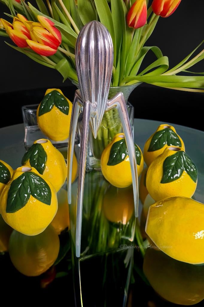 ALESSI Philippe Starck, citruspers- Juicy Salif, aluminium, Ophalen of Verzenden, Gebruikt