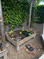 Moestuinbak moestuin, Ophalen, Hout, Minder dan 60 cm, Minder dan 30 cm