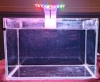 Aquarium - Klein Aquarium - Kweek aquarium, Ophalen, Gebruikt, Leeg aquarium