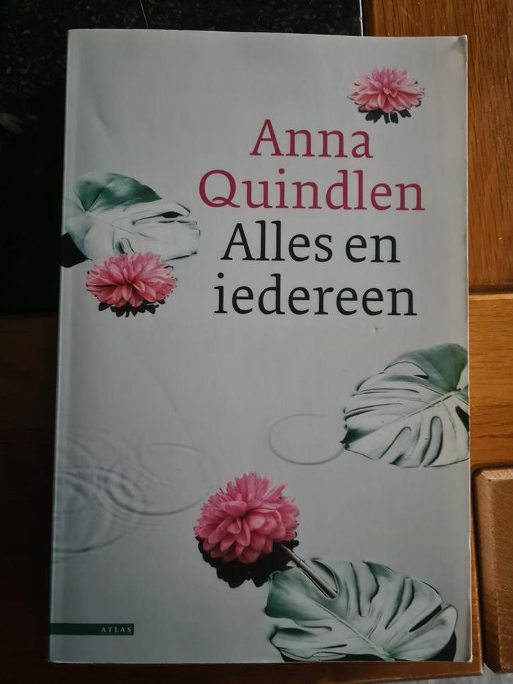 A. Quindlen - Alles en iedereen, Boeken, Romans, Gelezen, Ophalen of Verzenden