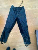 Regen rijbroek Felix Buhler S/ 36, Dieren en Toebehoren, Ophalen of Verzenden, Zo goed als nieuw, Dressuur, Onderkleding