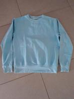Dunne trui maat s, Kleding | Heren, Truien en Vesten, Blauw, Ophalen of Verzenden, Zo goed als nieuw, Maat 46 (S) of kleiner