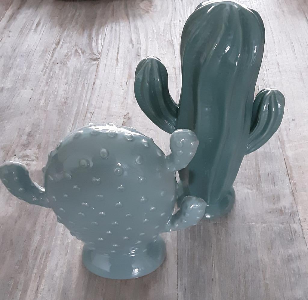 Bloomingville Set Cactussen - Decoratief, Antiek en Kunst, Antiek | Woonaccessoires, Ophalen