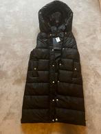 Dames body warmer nieuw M, Kleding | Dames, Bodywarmers, Ophalen of Verzenden, Nieuw