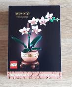 LEGO Botanicals 10343 Mini Orchid ZGAN, Verzenden, Zo goed als nieuw, Complete set, Lego