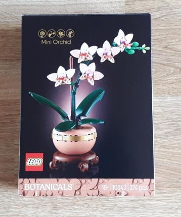 LEGO Botanicals 10343 Mini Orchid ZGAN beschikbaar voor biedingen