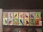 Vogels postfris Botswana 1967., Postzegels en Munten, Postzegels | Thematische zegels, Ophalen of Verzenden, Dier of Natuur