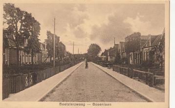 Beetsterzwaag, Bosenlaan. Gemeente Opsterland. beschikbaar voor biedingen