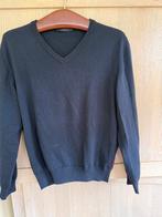 Falke trui heren 48, Ophalen of Verzenden, Zo goed als nieuw, Maat 48/50 (M), Blauw