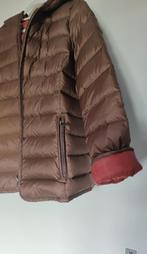 Donsjack van het Italiaanse merk Bagutta, Kleding | Dames, Jassen | Winter, Ophalen of Verzenden, Zo goed als nieuw, Maat 38/40 (M)