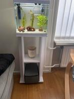Aquarium met meubel en volledig uitrusting, Ophalen, Leeg aquarium