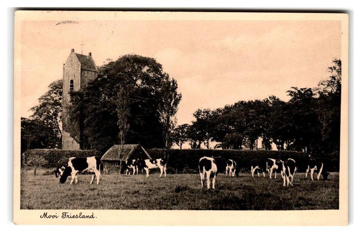 Oostermeer, Mooi Friesland, Verzamelen, Ansichtkaarten | Nederland, Gelopen, Friesland, 1920 tot 1940, Verzenden