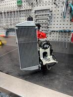 Complete Rotax Max Junior EVO Kartmotor, Ophalen of Verzenden, Gebruikt, Kart