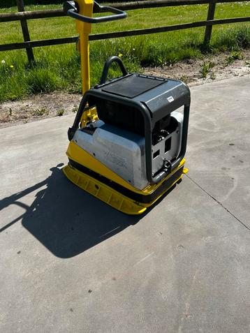 Wacker DPU 6555 Trilplaat  beschikbaar voor biedingen
