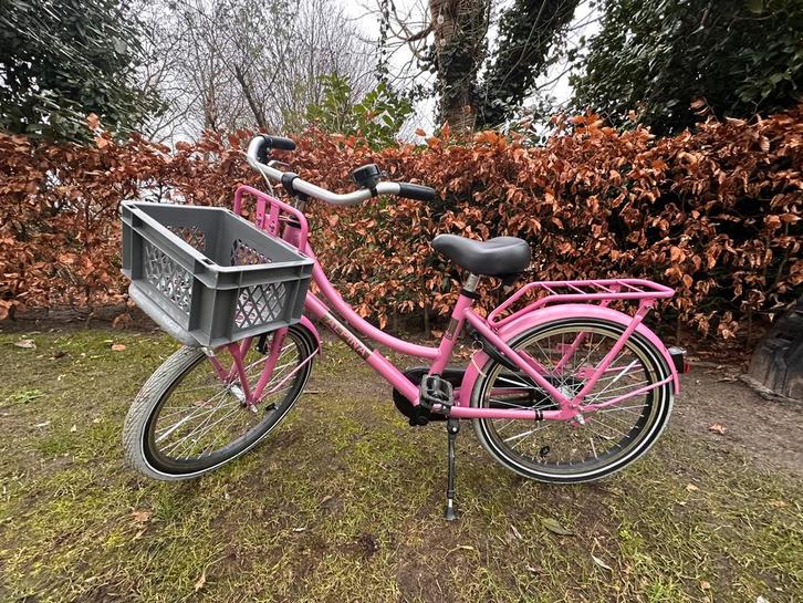 Meisjesfiets - 20 inch - Alpina Cargo Fuchsia Pink Matt, Fietsen en Brommers, Fietsen | Meisjes, Zo goed als nieuw, 20 inch, Handrem
