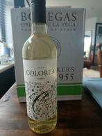 5x Colorea Verdejo 2023 Spaanse droge witte wijn, Ophalen, Spanje, Nieuw, Witte wijn