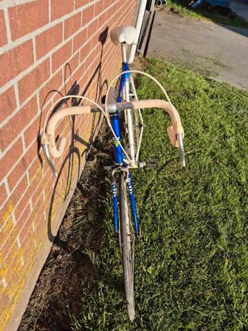giant - groot frame beschikbaar voor biedingen
