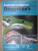 Praktijkraadgever Daggekko's., Ophalen of Verzenden, Zo goed als nieuw, Terrarium of Paludarium