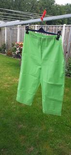 Nieuw groene broek maat 50 van Orientique, Nieuw, Orientique, Ophalen of Verzenden, Broek of Spijkerbroek
