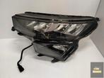 Skoda Kodiaq Lift LED-lamp links Ideaal