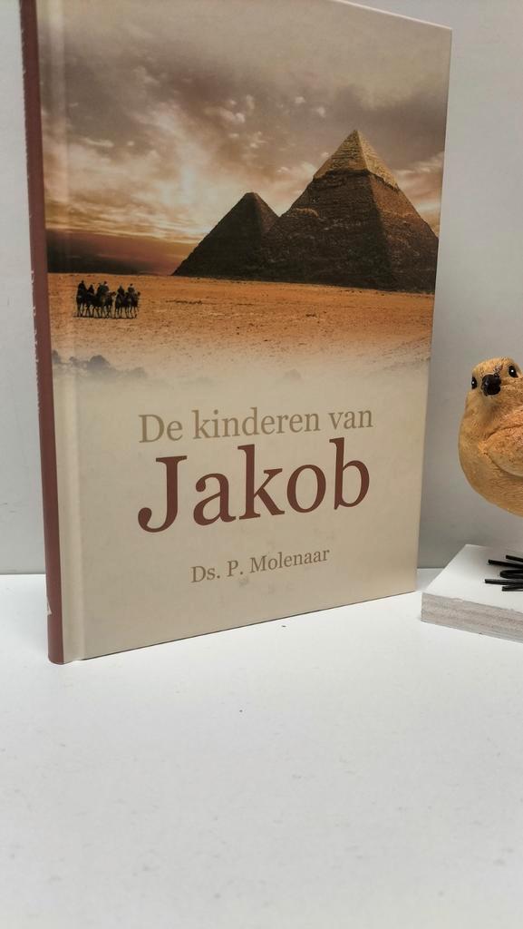 Molenaar, Ds. P. ; De kinderen van Jakob, Boeken, Godsdienst en Theologie, Gelezen, Christendom | Protestants, Ophalen of Verzenden