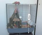 vogelkooi, Ophalen, Metaal, Vogelkooi