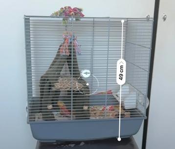 vogelkooi beschikbaar voor biedingen