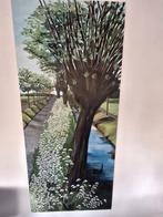 Schilderij Boksloot Hellendoorn, Ophalen of Verzenden