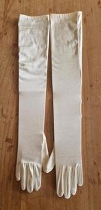 Lange handschoenen, Ophalen of Verzenden