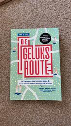 Anne de Jong - De geluksroute, Boeken, Anne de Jong, Ophalen of Verzenden, Ontwikkelingspsychologie, Zo goed als nieuw