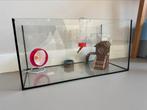 Hamster / knaagdier kooi / terrarium, Dieren en Toebehoren, Knaagdieren en Konijnen | Hokken en Kooien, Kooi, Minder dan 75 cm