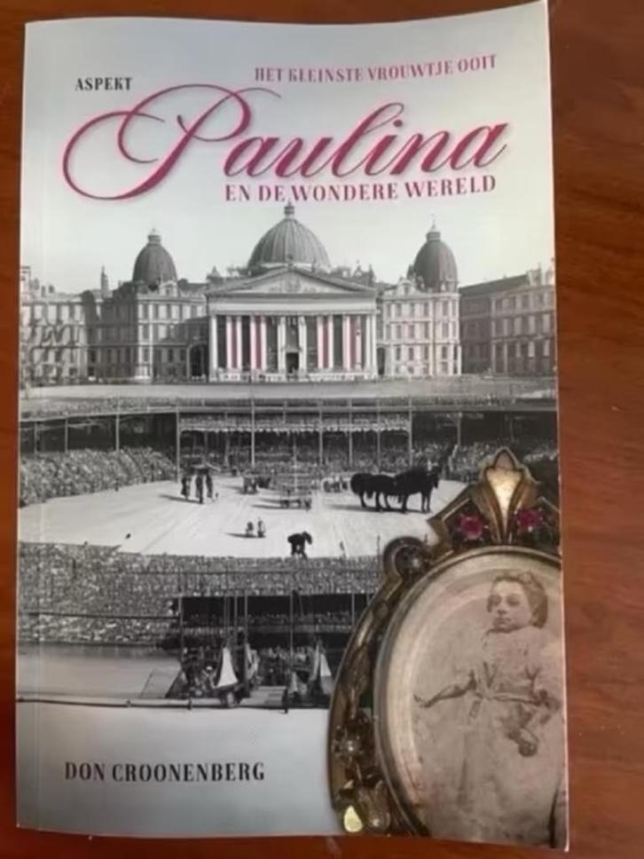 Paulina en de wondere werel van Don Croonenberg, Boeken, Historische romans, Zo goed als nieuw, Verzenden