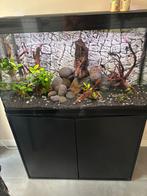 Aquatlantis aquarium 100 CM, Dieren en Toebehoren, Vissen | Aquaria en Toebehoren, Ophalen, Gebruikt, Gevuld zoetwateraquarium