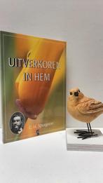 Spurgeon, C.H.; Uitverkoren in Hem (nr. 17 Boekhout serie), Ophalen of Verzenden, Gelezen, Christendom | Protestants