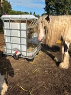 nieuwe hooiruif, Dieren en Toebehoren