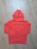 Tommy Hilfiger hoodie maat 152 rood, Ophalen of Verzenden, Gebruikt, Jongen, Trui of Vest