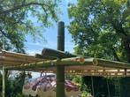 Bamboo Stokken 5 meter, Tuin en Terras, Palen, Balken en Planken, Nieuw, 250 cm of meer, Palen, Verzenden