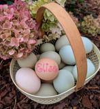 Broedeieren eastereggers kleurleggers olijfleggers kippen, Dieren en Toebehoren, Kip