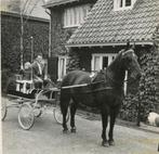 Vervoer-foto-J-155  Enkhuizen  Paarden sport, Verzamelen, Verzenden, 1980 tot heden, Foto, Nieuw