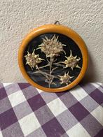 Edelweis in lijstje, Antiek en Kunst, Ophalen of Verzenden