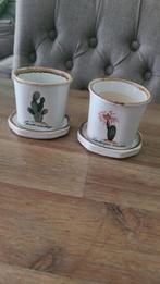 Hele leuke kleine vintage cactus potjes, Rond, Nieuw, Ophalen of Verzenden, Minder dan 25 cm