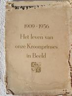 1909-1936 Het Leven Van Onze Kroonprinses Juliana In Beeld, Verzamelen, Koninklijk Huis en Royalty, Ophalen of Verzenden, Gebruikt