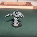 Warhammer 40k Librarian in terminator armour, Warhammer 40000, Nieuw, Figuurtje(s), Ophalen of Verzenden